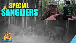 GOODLIQ L'ATTRACTANT SANGLIERS DE CHEZ VITEX CHASSE !