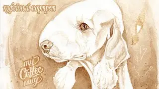 Кофейный портрет бедлингтона