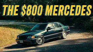 THE $800 MERCEDES-Can It be my daily driver?