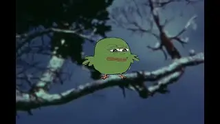 Racing Extinction CLIP - Feels Bad Man