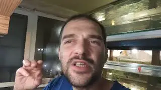 A bit sad video, but at least it's about Fish!!))