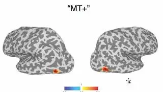 Fundamentals of experimental design with fMRI