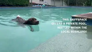 Lake Doggo 👉 Book Today