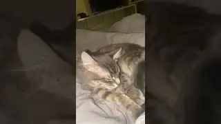 Семён. Кто здесь, сколько вас?