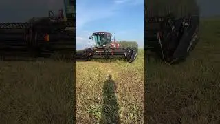 #2024 #farming #сезон #macdon #сельскоехозяйство #сенаж #уборка