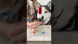 The Perfect 4th of July Treat for Dogs!