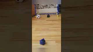 Vector robot playing with boxer robot 