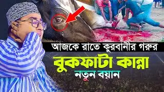 আজকে রাতে কুরবানীর গরুর বুকফাটা কান্না নতুন বয়ান || new waz faridi 2023