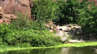 ngày 16 tháng 12, 2020