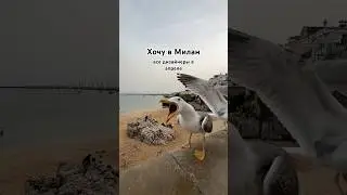 Хочу в Милан. 