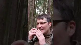 Подзыв сеттеров варганом :)