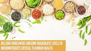 Billions worldwide consume inadequate levels of micronutrients critical to human health
