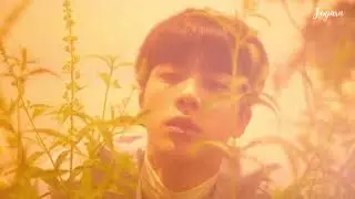 [Vietsub+Engsub] BTS Jin - Autumn outside the post office