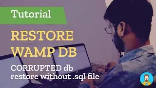 How to recover/restore mysql database from corrupted wamp server