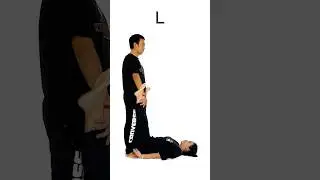 Human ABC (Letter L)