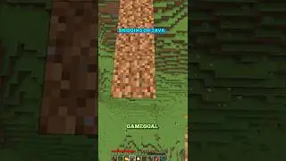 Bridging on Java vs Bridging on Bedrock💀