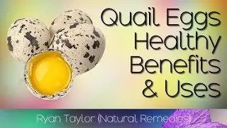 Quail Eggs: Benefits & Uses