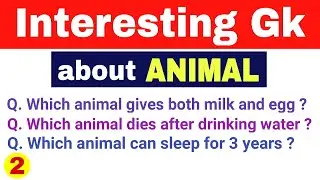 Most interesting gk || Interesting gk questions about animals || Interesting gk part 2