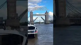 All Aboard This Boat Party Along The River Thames