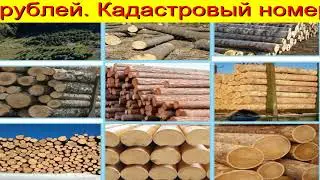 Пиловочник Тюмень