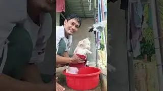 2025 V2 : A day with Chippy (Ang Paliligo)