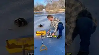 Rescuing a Skunk Off My Frozen Pond 👀