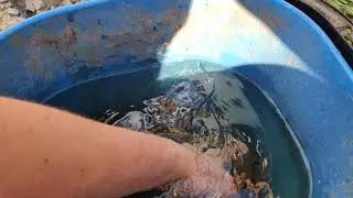 Пруд. Рыбалка, красные, куда вы лезете, не 17-й, же...