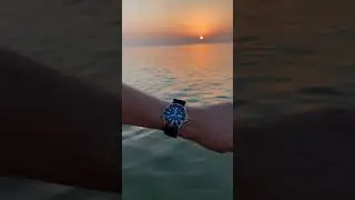 Taking the Orient Ray 2 for a little swim #orientray2 #orientwatches #orientwatch #divewatch #watch