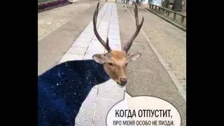 лавка чехова братикам