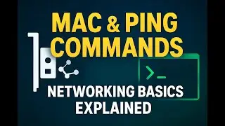 MAC Address & PING Command EXPLAINED | Networking Basics for Beginners