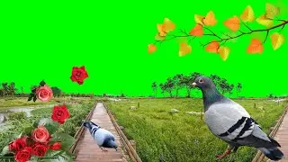 How to make a sad passion green screen flowers animations || flowers animations video kaise banaye