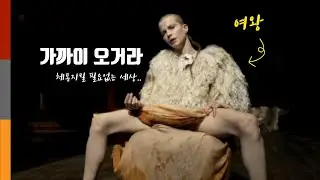 모든 인류가 체통지키지 않고 살아도 되는 세상 1부/애플TV+ 명작드라마 《SEE '씨- 어둠의 나날' 시즌1 몰아보기 1부》