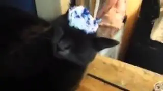 Girl Playing With Her Pussy