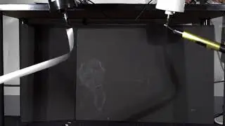 C0051