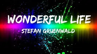 Popular hits / Stefan Gruenwald - Wonderful Life / Lyrics inside