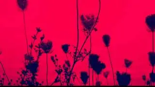 Zch - Asunder