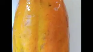My Fruit for Today PAPAYA & It's Amazing Benefits ❤️