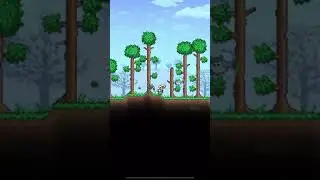 how to get the squire slime pet