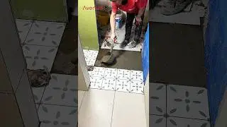 How to install ceramic tiles in bathroom floors | #ceramictiles #bathroomtilesdesign #shorts