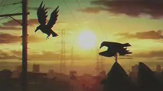 Sunset | Free Intro Anime Aesthetics Theme