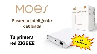 Wired Smart Gateway de Moes