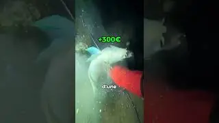 Night fishing session! 