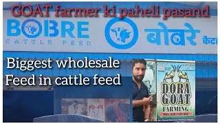 #bobrecattlefeed #goat #viral#bhiwandi