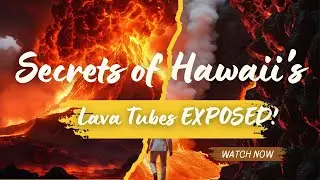 Exploring Hawaii's Hidden Lava Tubes: An Underground Adventure. #touratravel