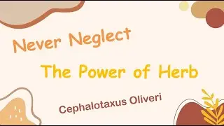 Herb Analysis 110