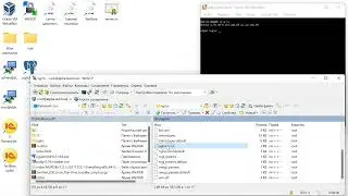 019 Создаем ссылку на рабочей станции и публикацию админки сервера в NGINX