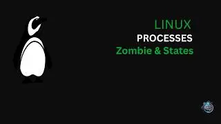 Linux & Docker Real World Scenarios: AI Solves 4 SysAdmin Problems | DeepShell