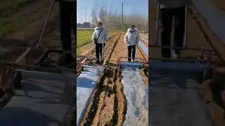 Hard Working #Farmer #farming #farmers