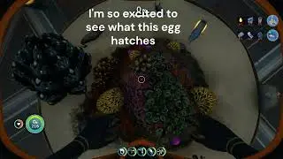 Cool egg I found in a alien place in subnautica