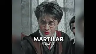 Edis-Martılar  -𝐒𝐩𝐞𝐞𝐝 𝐔𝐩-  #Goldentriow